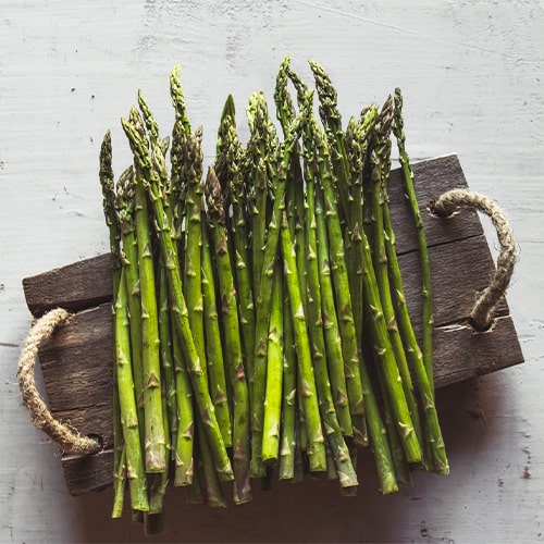 Asparagus Fruhlim - for Sale Asparagus Fruhlim