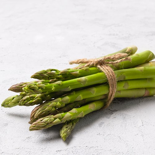 Asparagus Glolim - for Sale Asparagus Glolim