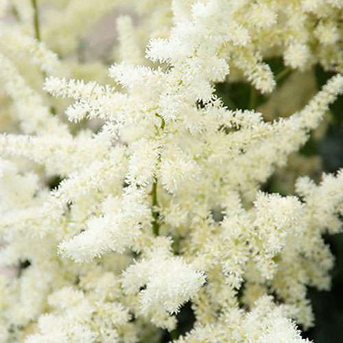 main product photo - for Sale main product photo