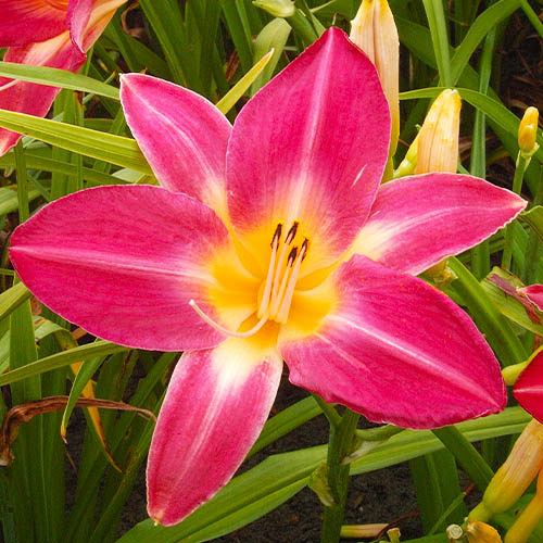 main product photo - for Sale main product photo