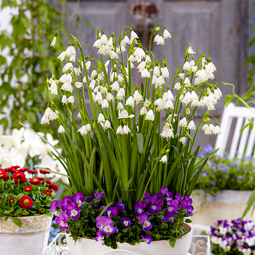 main product photo - for Sale main product photo