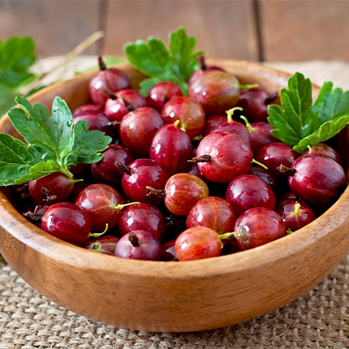 Gooseberry Hinnonmaki Red - for Sale Gooseberry Hinnonmaki Red