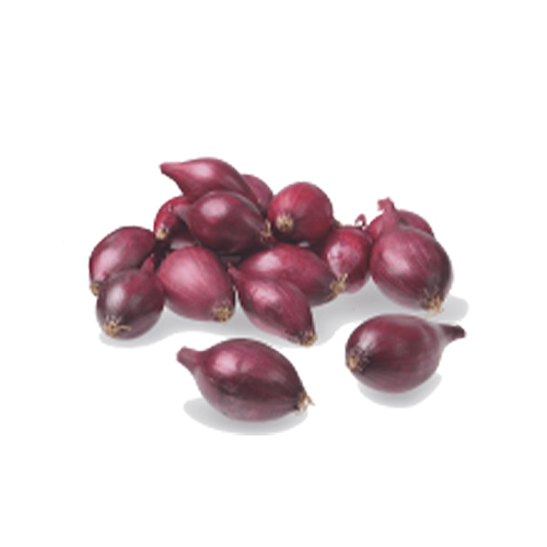 Planting Onions Romy - for Sale Planting Onions Romy
