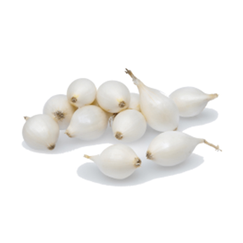 Planting Onions Southport White Globe - for Sale Planting Onions Southport White Globe