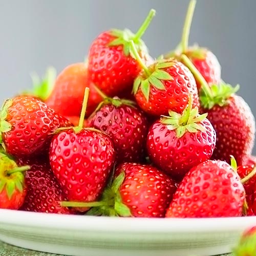 Strawberry Korona - for Sale Strawberry Korona