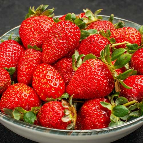 Strawberry Honeoye - for Sale Strawberry Honeoye