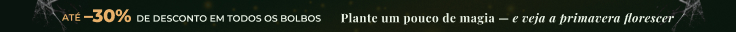 Nova temporada Aberta