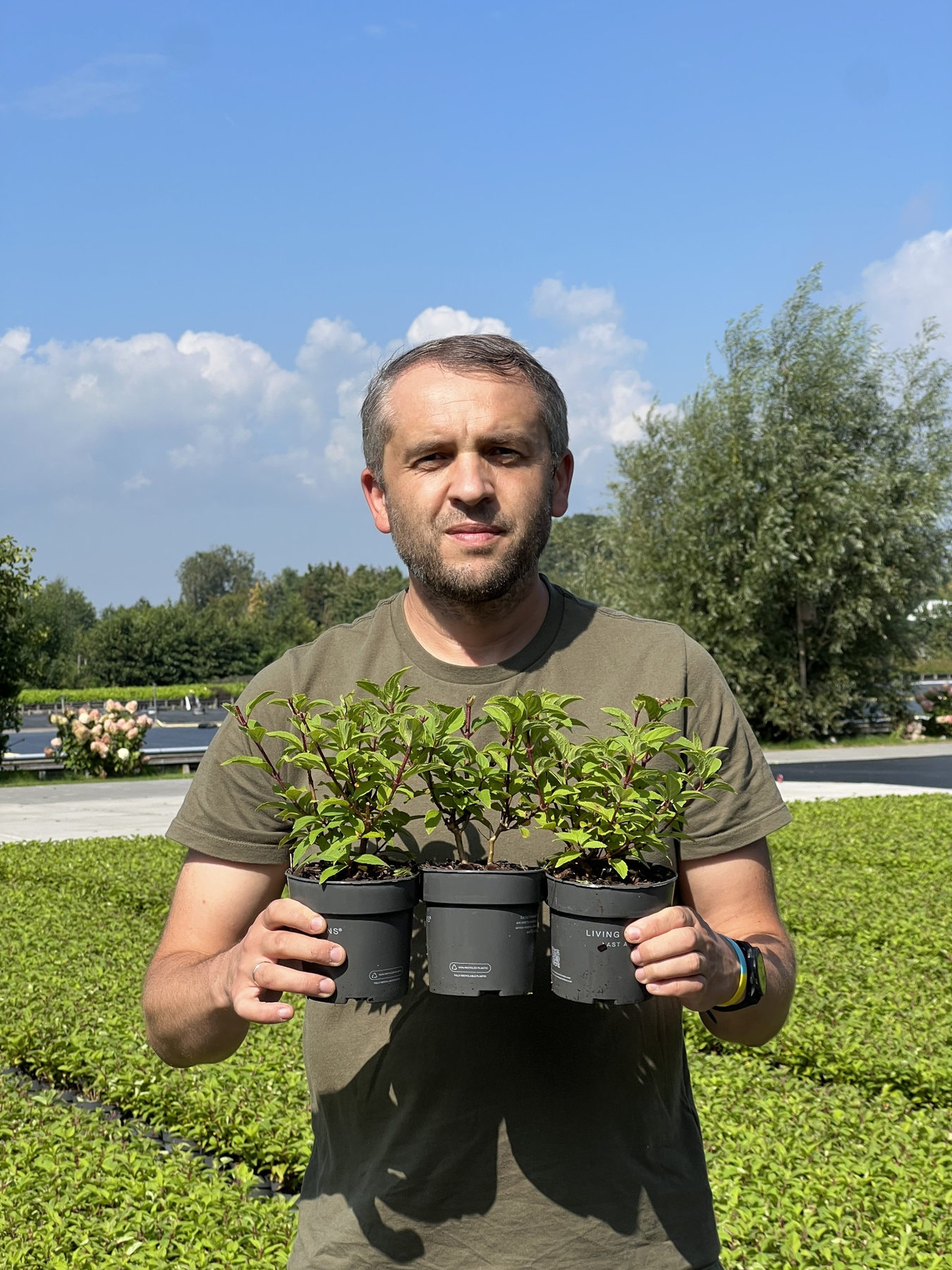 Un vivaista tiene in mano piante in vaso all’aperto