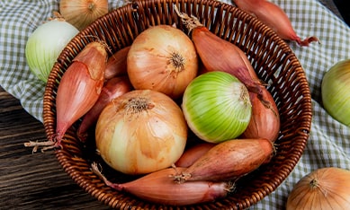 Fruit and Vegetable Garden Bulbs from Holland, Dutch Fruit and Vegetable Garden Bulbs