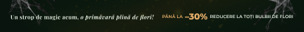 Sezonul nou Deschis