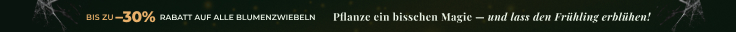 Neue Saison Eröffnet