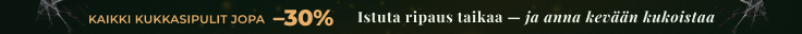 Uusi kausi Avaa