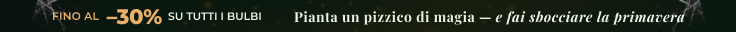 Nuova stagione Aperta