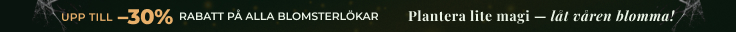 Ny säsong Öppen