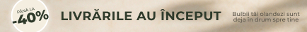 Sezonul nou Deschis