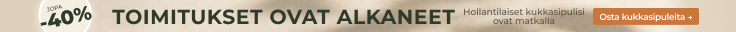 Uusi kausi Avaa