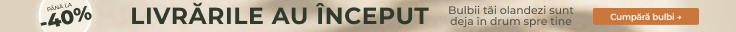 Sezonul nou Deschis